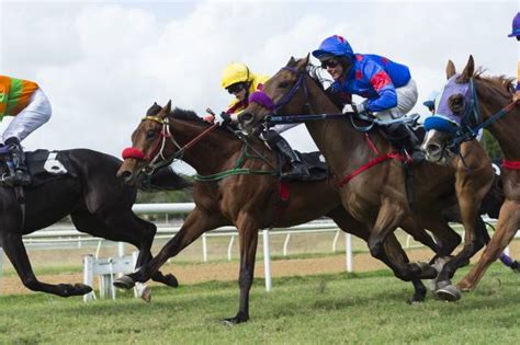 gg horse racing|yesterdays racing round the ridges.